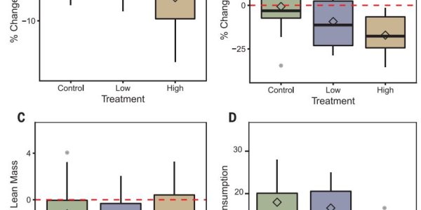 Ecologists Say Neonicotinoid Seed Treatments Give Birds Anorexia