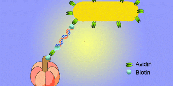 Article teaser image