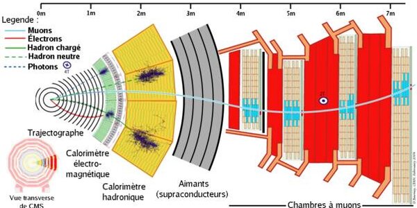 Article teaser image