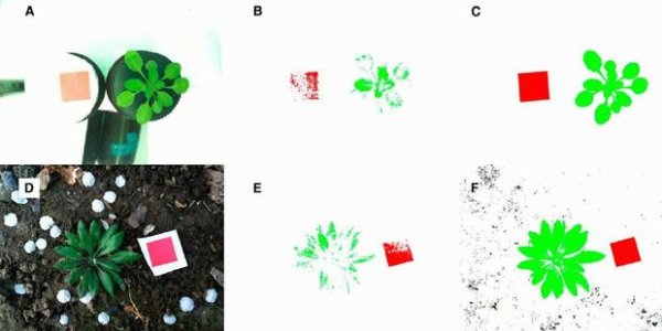 Use Your Mobile Device As A Data Collection Tool - Since The NSA Does