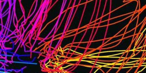 Science 2.0: Google Web Mining Can Help Neuroscientists Analyze Big Data