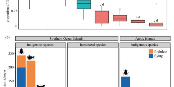 Charles Darwin Was Right On Why Insects Are Losing The Ability To Fly, Finds New Paper