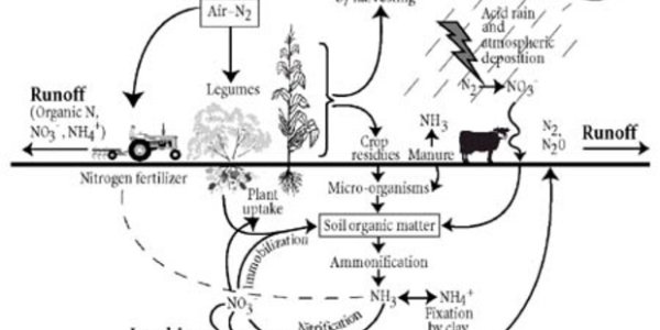 How To Fix Our Nitrogen Emergency