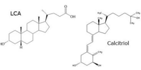 Article teaser image