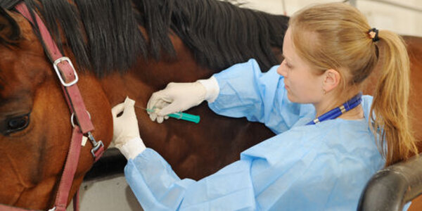 Article teaser image