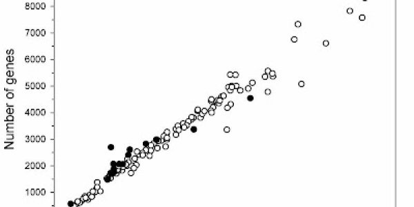 Bacterial genomes and evolution
