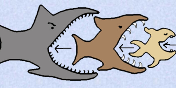 Article teaser image