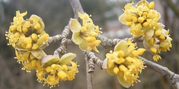 Article teaser image