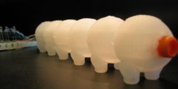 Tufts Researchers To Create First Soft-Bodied Robots