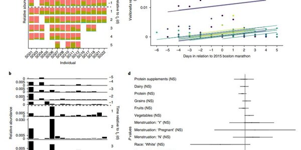 Article teaser image