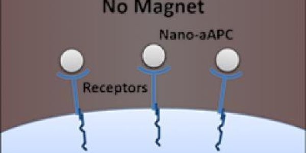 Finally, Magnets In Medicine That Will Actually Work - It Fights Melanoma In Mice