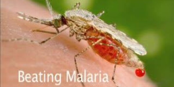 Article teaser image