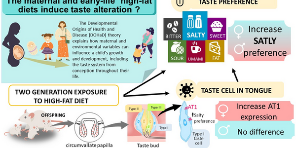 Article teaser image