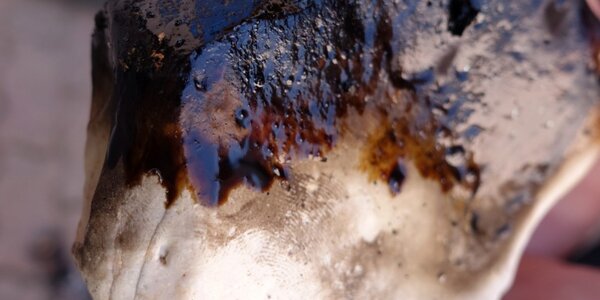 Article teaser image