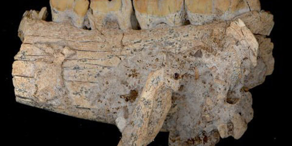 Article teaser image