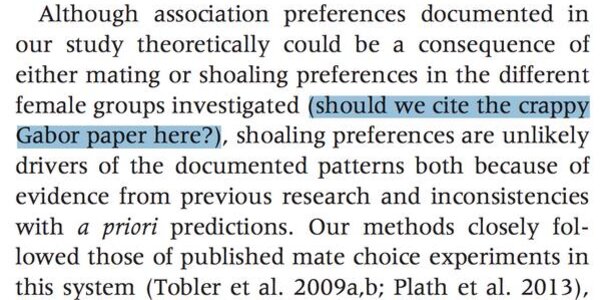 Article teaser image