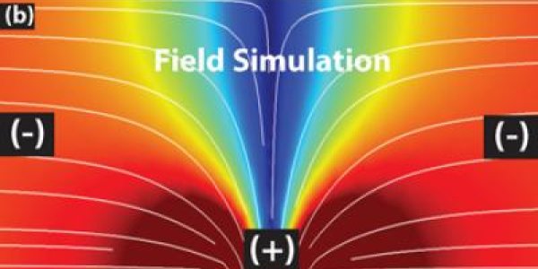 Herding Cells With Electrcity Could Lead To Smart Bandages