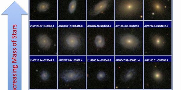 Article teaser image