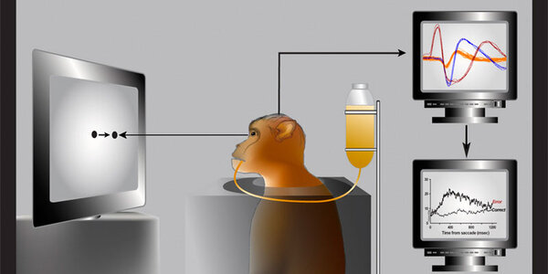 Article teaser image