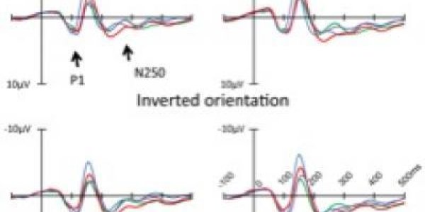 Pareidolia: We're Secretly Judging Face Likeness