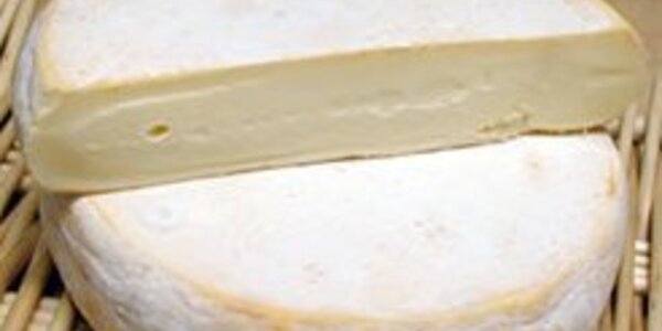 Article teaser image