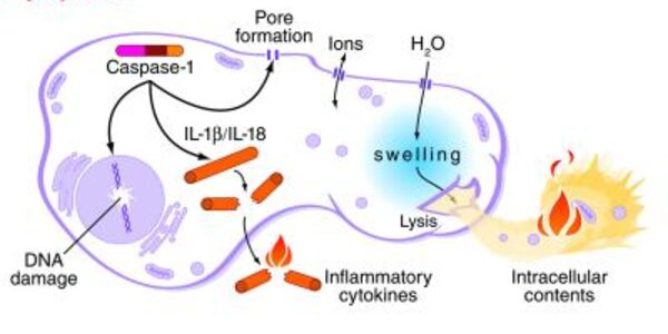 Article teaser image