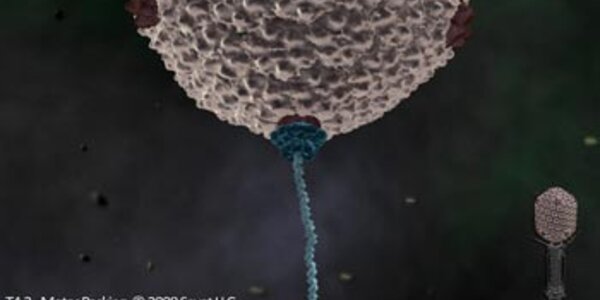 Article teaser image