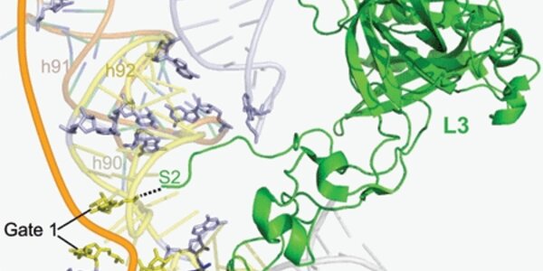 Article teaser image