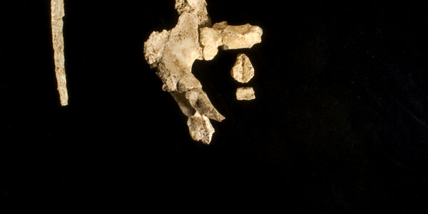 Article teaser image