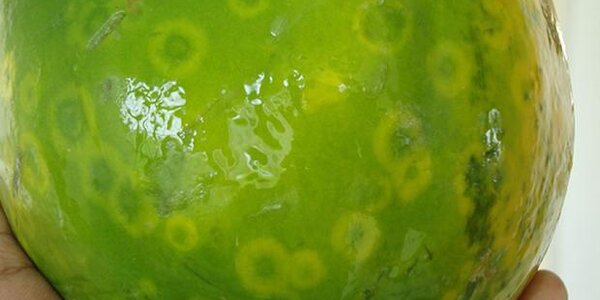 Article teaser image