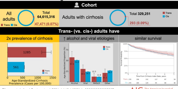 Article teaser image