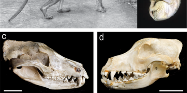 Article teaser image