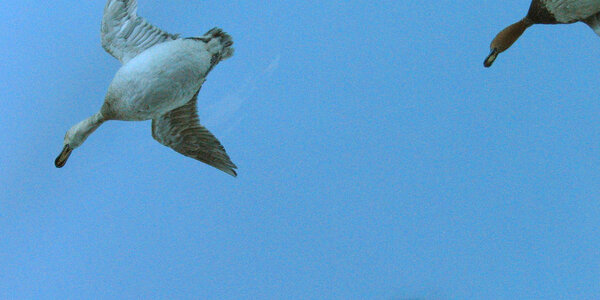 Article teaser image