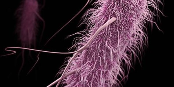 Article teaser image