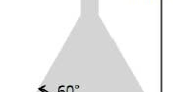 The Complex Physics Behind Ducks' Feet