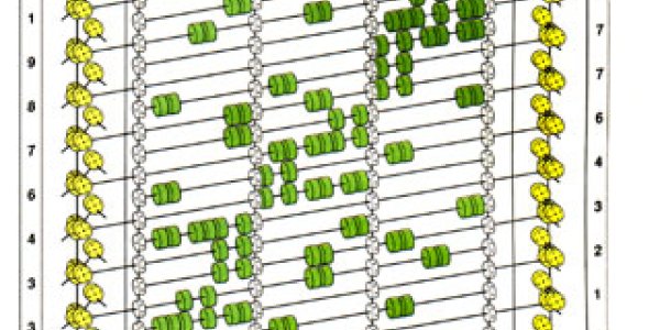 The Great Tinkertoy Computer: Tic-Tac-Toe Domination