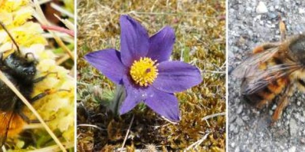 Has Your Relationship Been Disrupted? Blame Climate Change