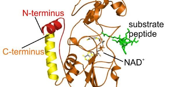 Article teaser image