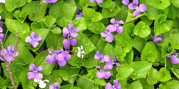 Article teaser image