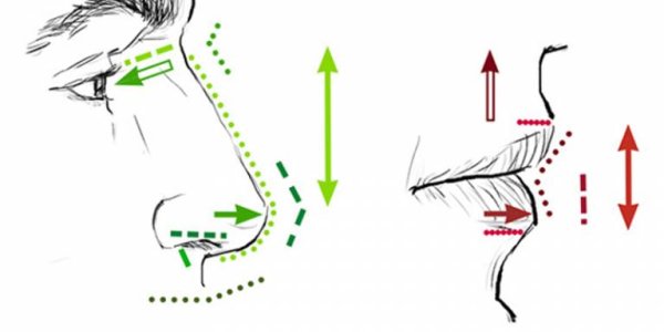 Genes For Facial Features Identified - Including What We Share With Extinct Denisovans