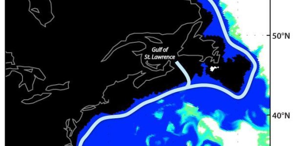 The Icebergs Of Florida