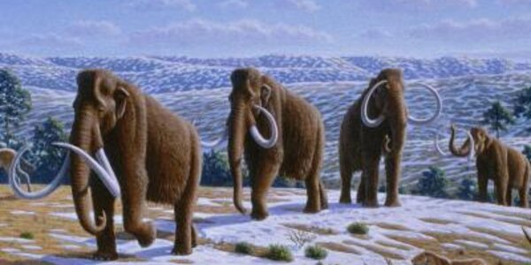 Article teaser image