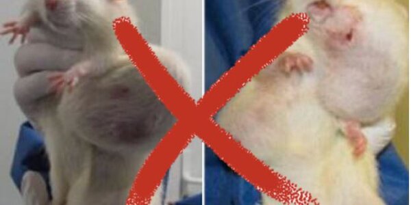 Article teaser image