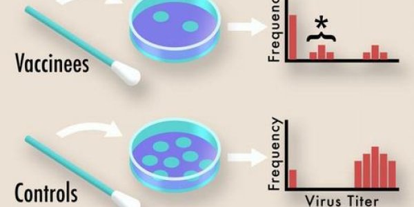 Like Influenza, SARS-CoV-2 Could Evolve Resistance To COVID-19 Vaccines