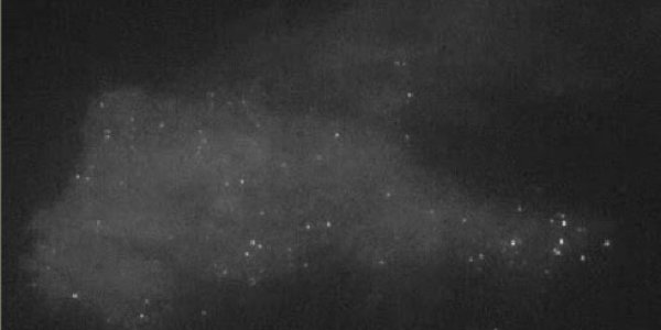 Total Internal Reflection Microscopy Captures A Single HIV Particle Being Born