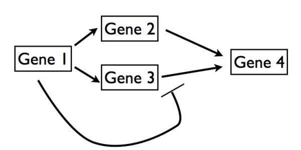 The Problem is Too Much Biological Complexity