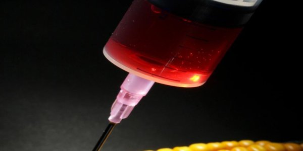 The GMOs That Fixed Global Warming