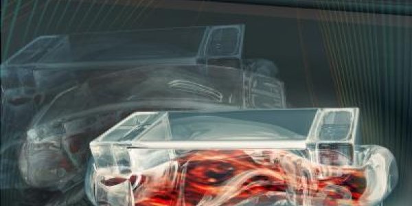 Walking Bio-Bots Powered By Muscle Cells