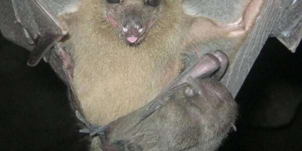 Article teaser image