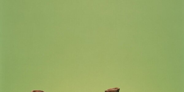 Article teaser image